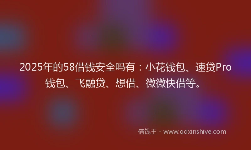 2025年的58借钱安全吗有:小花钱包、速贷Pro钱包、飞融贷、想借、微微快借等。