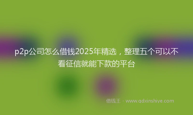 p2p公司怎么借钱2025年精选，整理五个可以不看征信就能下款的平台