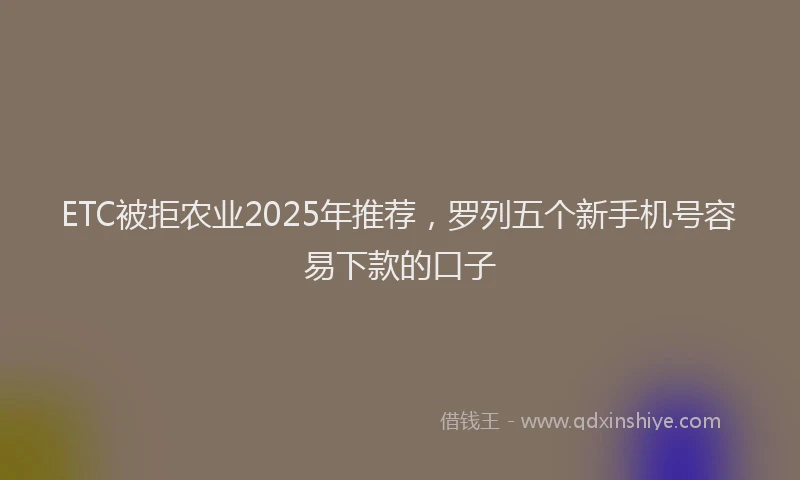 ETC被拒农业2025年推荐，罗列五个新手机号容易下款的口子