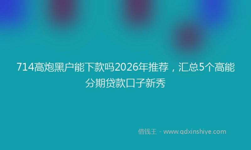 714高炮黑户能下款吗2026年推荐，汇总5个高能分期贷款口子新秀