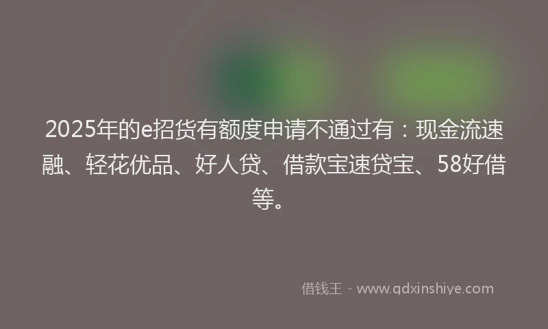 2025年的e招货有额度申请不通过有：现金流速融、轻花优品、好人贷、借款宝速贷宝、58好借等。