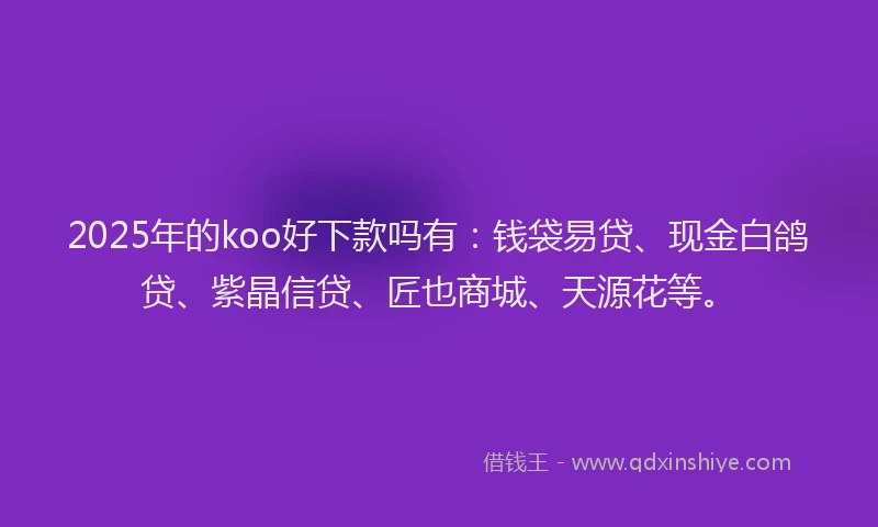 2025年的koo好下款吗有：钱袋易贷、现金白鸽贷、紫晶信贷、匠也商城、天源花等。