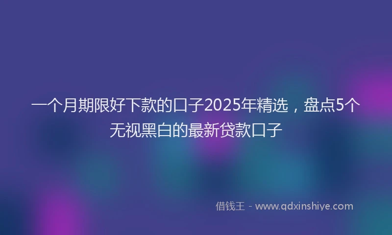 一个月期限好下款的口子2025年精选，盘点5个无视黑白的最新贷款口子
