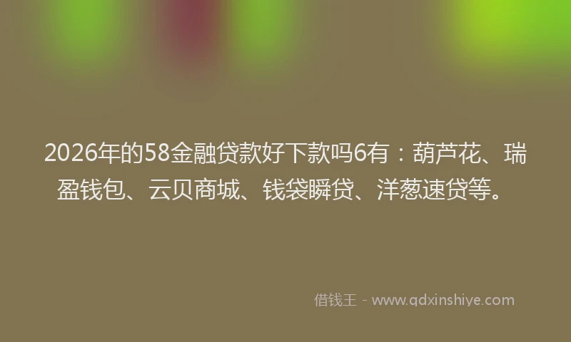 2026年的58金融贷款好下款吗6有：葫芦花、瑞盈钱包、云贝商城、钱袋瞬贷、洋葱速贷等。
