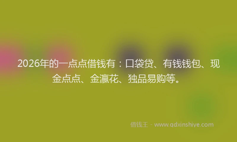2026年的一点点借钱有：口袋贷、有钱钱包、现金点点、金瀛花、独品易购等。