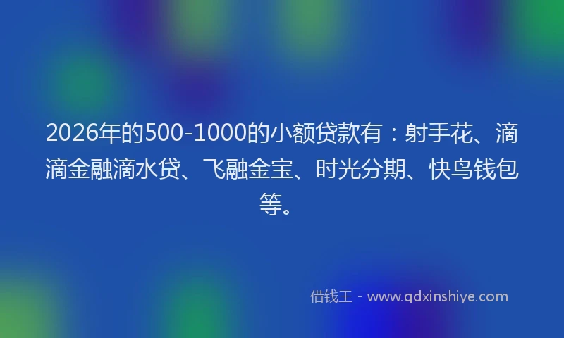 2026年的500-1000的小额贷款有：射手花、滴滴金融滴水贷、飞融金宝、时光分期、快鸟钱包等。