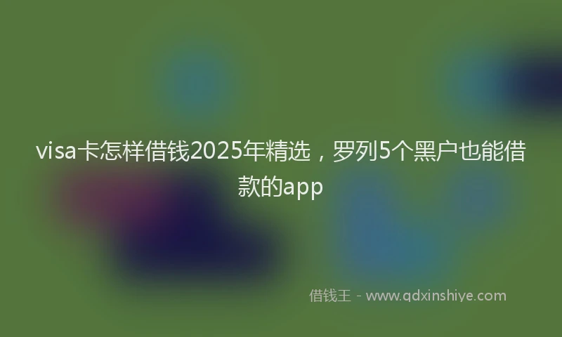 visa卡怎样借钱2025年精选，罗列5个黑户也能借款的app