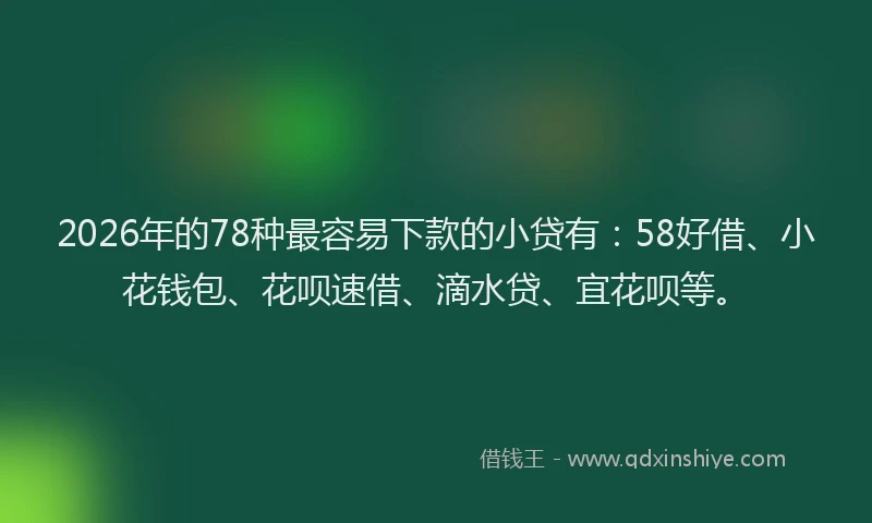 2026年的78种最容易下款的小贷有：58好借、小花钱包、花呗速借、滴水贷、宜花呗等。