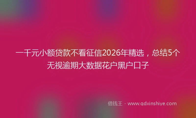 一千元小额贷款不看征信2026年精选，总结5个无视逾期大数据花户黑户口子