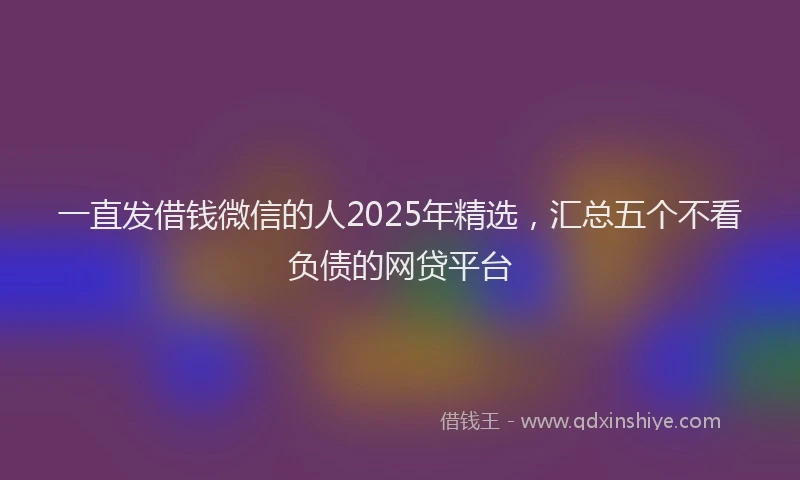 一直发借钱微信的人2025年精选，汇总五个不看负债的网贷平台