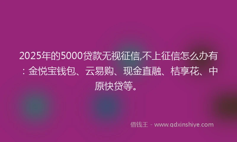 2025年的5000贷款无视征信,不上征信怎么办有：金悦宝钱包、云易购、现金直融、桔享花、中原快贷等。