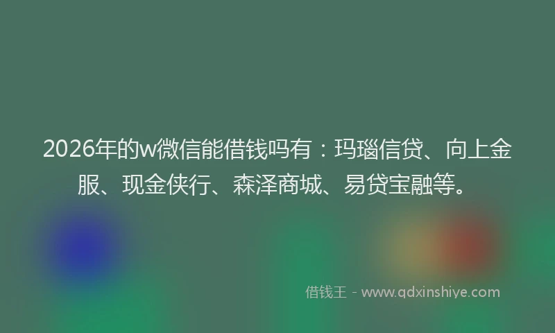 2026年的w微信能借钱吗有：玛瑙信贷、向上金服、现金侠行、森泽商城、易贷宝融等。