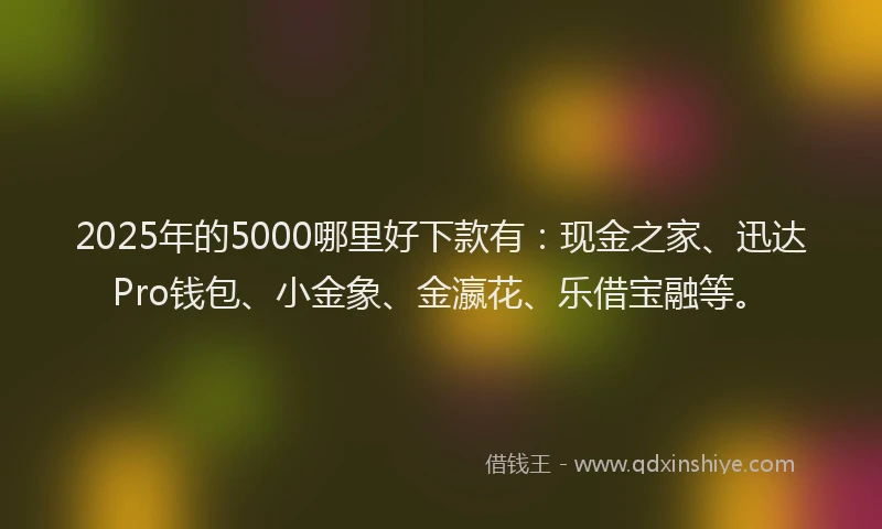 2025年的5000哪里好下款有：现金之家、迅达Pro钱包、小金象、金瀛花、乐借宝融等。