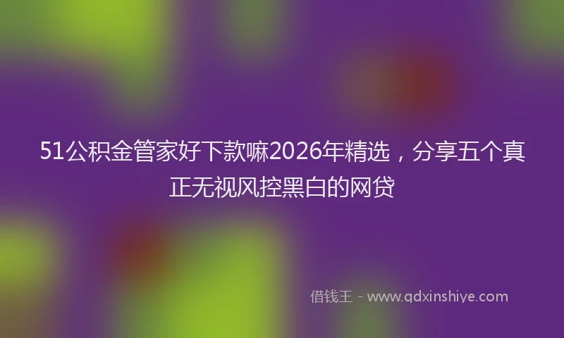 51公积金管家好下款嘛2026年精选,分享五个真正无视风控黑白的网贷