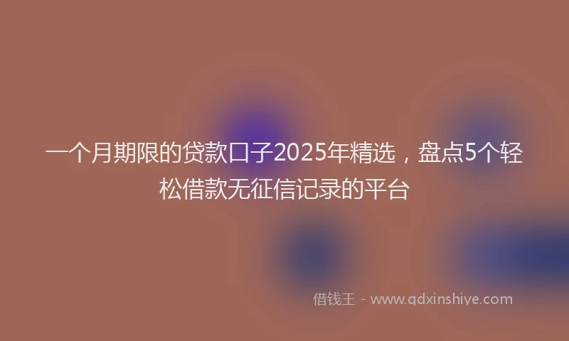 一个月期限的贷款口子2025年精选，盘点5个轻松借款无征信记录的平台