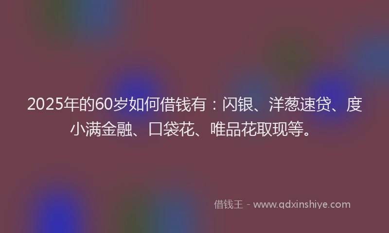 2025年的60岁如何借钱有:闪银、洋葱速贷、度小满金融、口袋花、唯品花取现等。