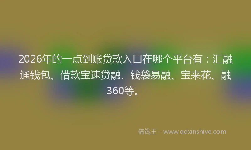 2026年的一点到账贷款入口在哪个平台有：汇融通钱包、借款宝速贷融、钱袋易融、宝来花、融360等。