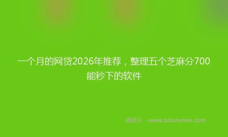 一个月的网贷2026年推荐，整理五个芝麻分700能秒下的软件
