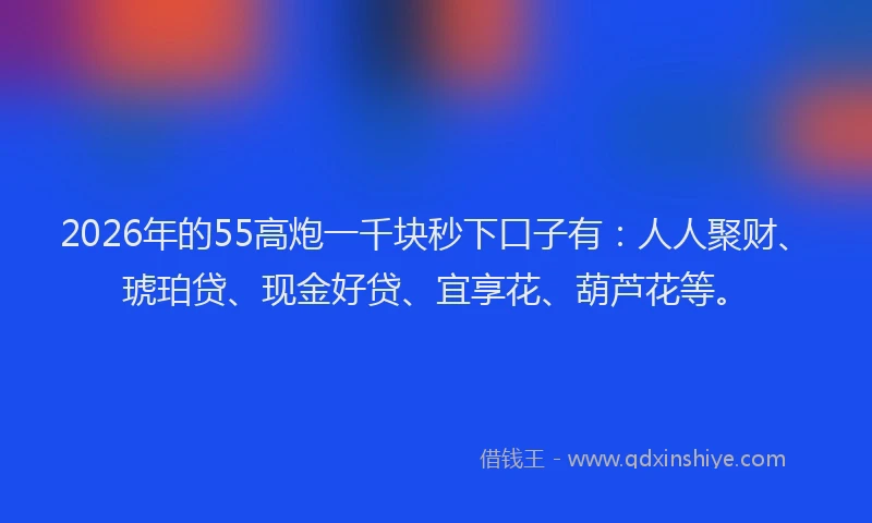 2026年的55高炮一千块秒下口子有：人人聚财、琥珀贷、现金好贷、宜享花、葫芦花等。