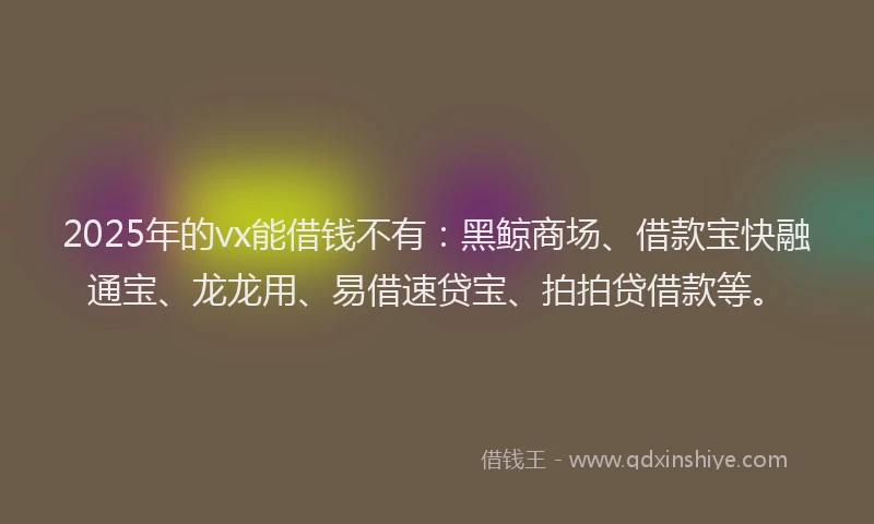 2025年的vx能借钱不有:黑鲸商场、借款宝快融通宝、龙龙用、易借速贷宝、拍拍贷借款等。