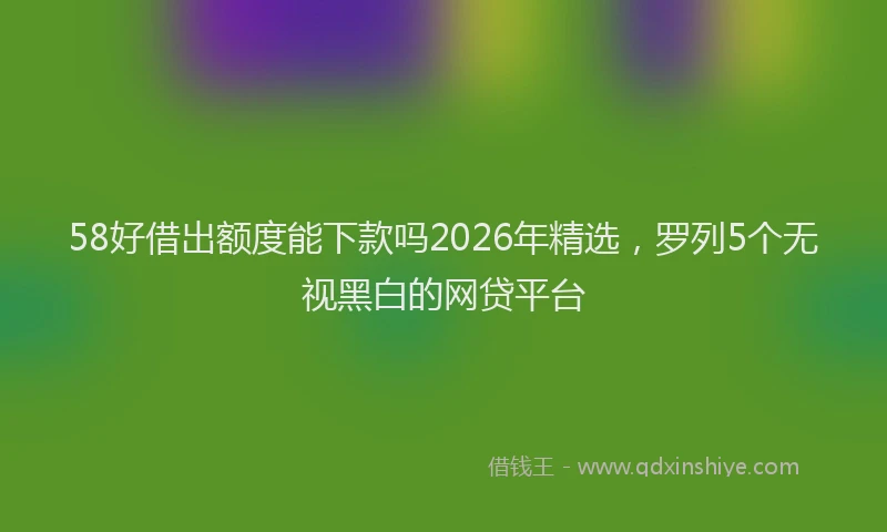 58好借出额度能下款吗2026年精选，罗列5个无视黑白的网贷平台