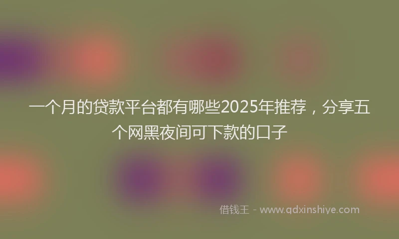 一个月的贷款平台都有哪些2025年推荐，分享五个网黑夜间可下款的口子