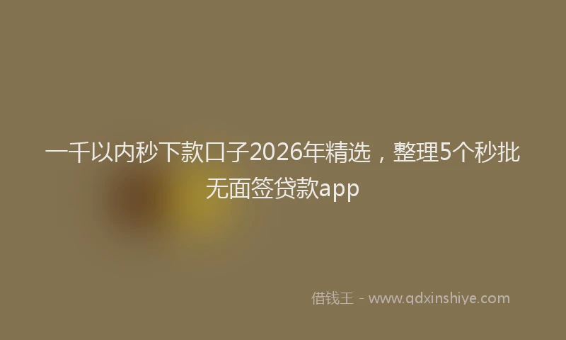 一千以内秒下款口子2026年精选，整理5个秒批无面签贷款app