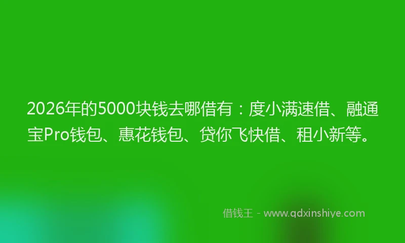 2026年的5000块钱去哪借有:度小满速借、融通宝Pro钱包、惠花钱包、贷你飞快借、租小新等。