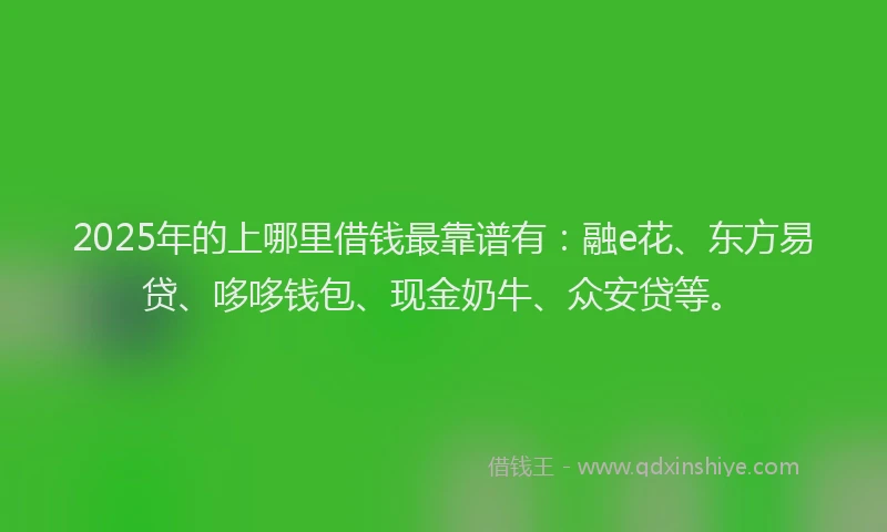 2025年的上哪里借钱最靠谱有:融e花、东方易贷、哆哆钱包、现金奶牛、众安贷等。