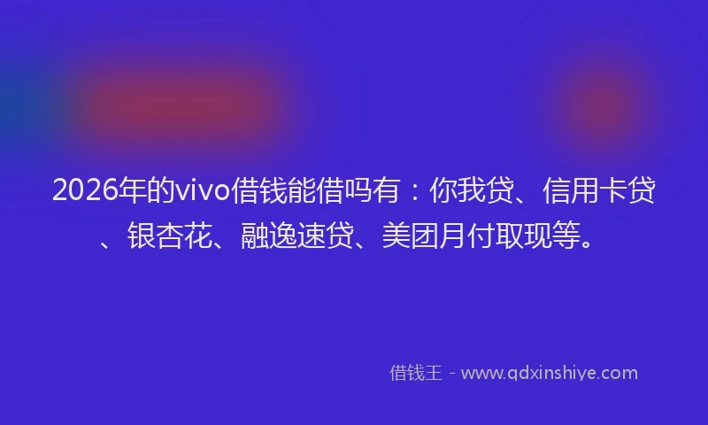 2026年的vivo借钱能借吗有：你我贷、信用卡贷、银杏花、融逸速贷、美团月付取现等。