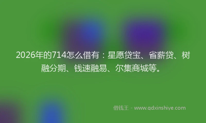 2026年的714怎么借有:星愿贷宝、省薪贷、树融分期、钱速融易、尔集商城等。