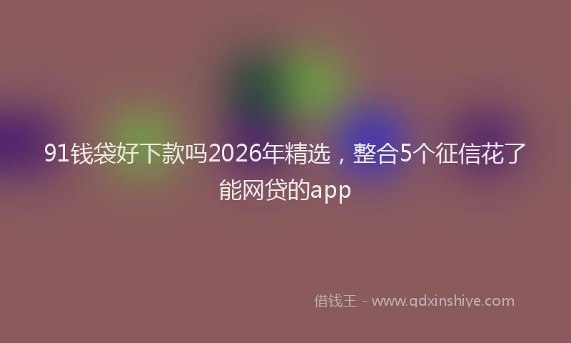 91钱袋好下款吗2026年精选，整合5个征信花了能网贷的app