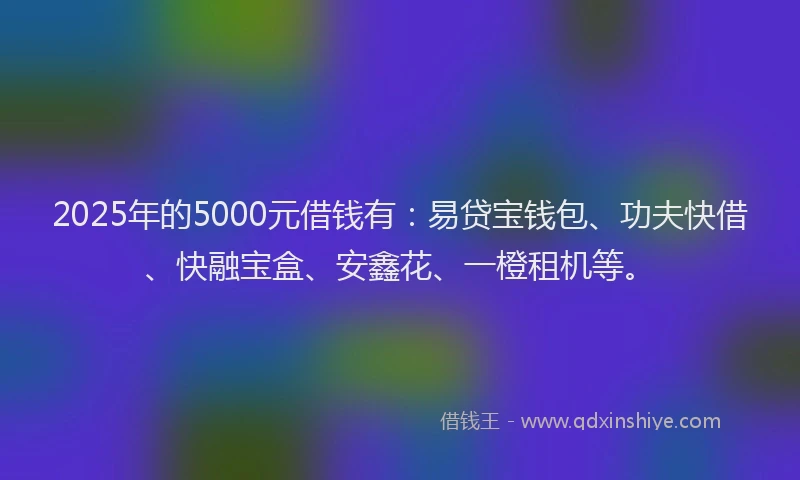 2025年的5000元借钱有：易贷宝钱包、功夫快借、快融宝盒、安鑫花、一橙租机等。