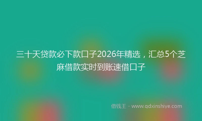 三十天贷款必下款口子2026年精选，汇总5个芝麻借款实时到账速借口子