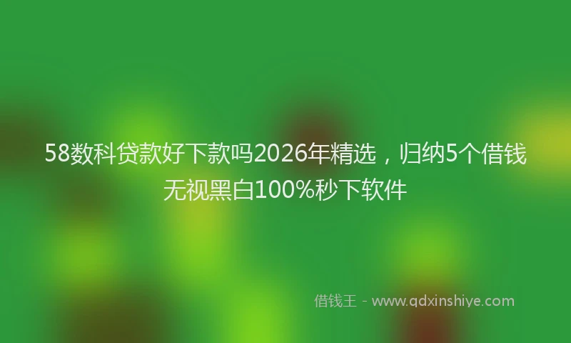 58数科贷款好下款吗2026年精选，归纳5个借钱无视黑白100%秒下软件