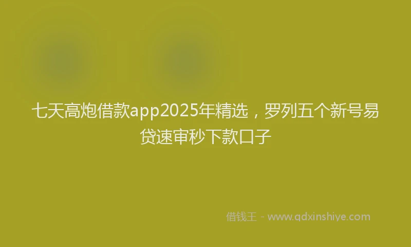 七天高炮借款app2025年精选，罗列五个新号易贷速审秒下款口子