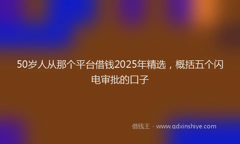 50岁人从那个平台借钱2025年精选，概括五个闪电审批的口子