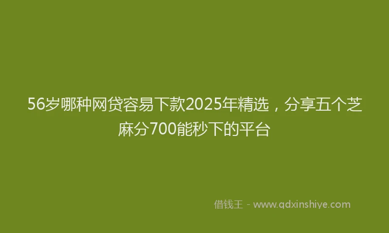 56岁哪种网贷容易下款2025年精选，分享五个芝麻分700能秒下的平台