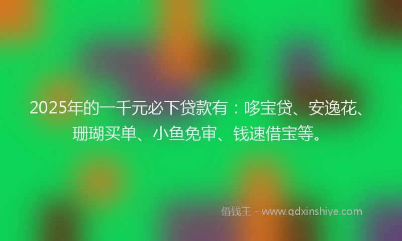 2025年的一千元必下贷款有：哆宝贷、安逸花、珊瑚买单、小鱼免审、钱速借宝等。