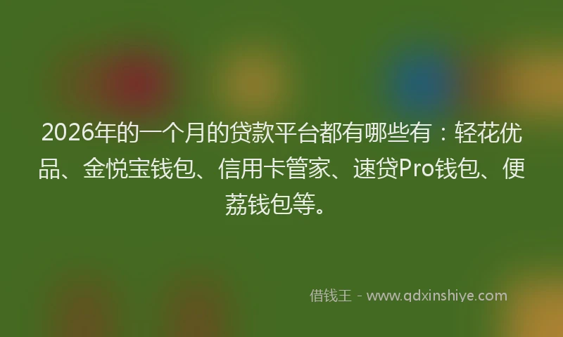 2026年的一个月的贷款平台都有哪些有:轻花优品、金悦宝钱包、信用卡管家、速贷Pro钱包、便荔钱包等。
