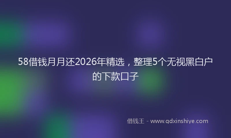 58借钱月月还2026年精选，整理5个无视黑白户的下款口子