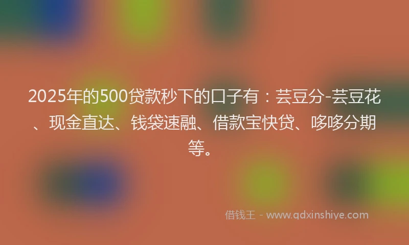 2025年的500贷款秒下的口子有：芸豆分-芸豆花、现金直达、钱袋速融、借款宝快贷、哆哆分期等。