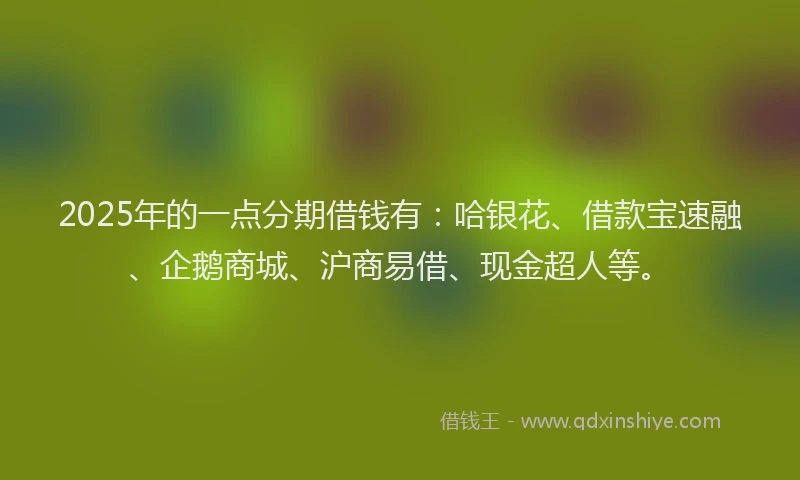 2025年的一点分期借钱有：哈银花、借款宝速融、企鹅商城、沪商易借、现金超人等。