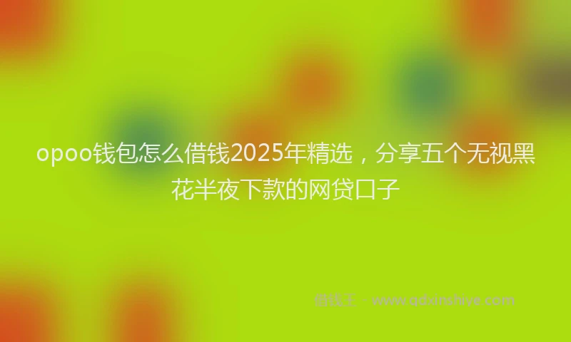 opoo钱包怎么借钱2025年精选，分享五个无视黑花半夜下款的网贷口子