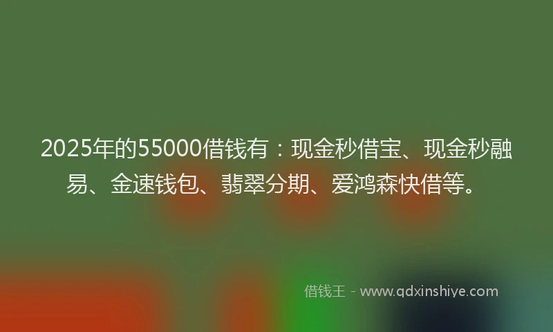 2025年的55000借钱有:现金秒借宝、现金秒融易、金速钱包、翡翠分期、爱鸿森快借等。