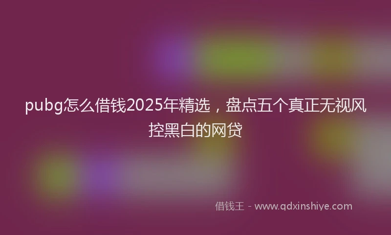 pubg怎么借钱2025年精选，盘点五个真正无视风控黑白的网贷
