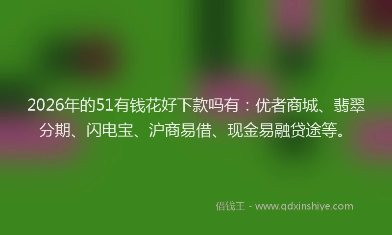 2026年的51有钱花好下款吗有：优者商城、翡翠分期、闪电宝、沪商易借、现金易融贷途等。