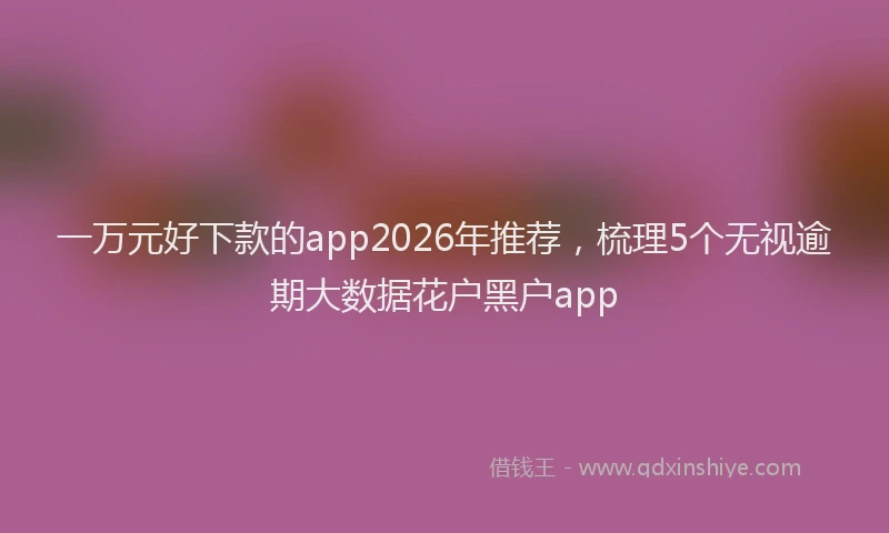 一万元好下款的app2026年推荐，梳理5个无视逾期大数据花户黑户app