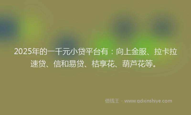 2025年的一千元小贷平台有：向上金服、拉卡拉速贷、信和易贷、桔享花、葫芦花等。