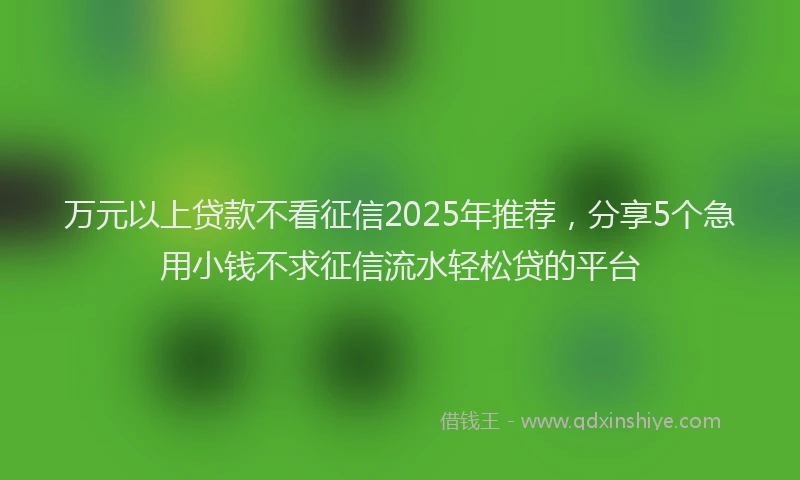 万元以上贷款不看征信2025年推荐，分享5个急用小钱不求征信流水轻松贷的平台